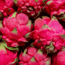 Dragon Fruit (Pink Flesh Pitaya)