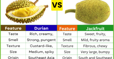 Durian Fruit vs Jackfruit: Differences, Taste, Nutrition and Uses