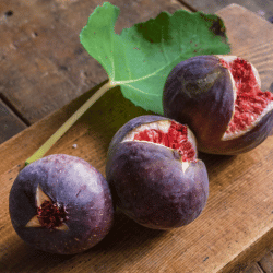 Figs Pink Varieties