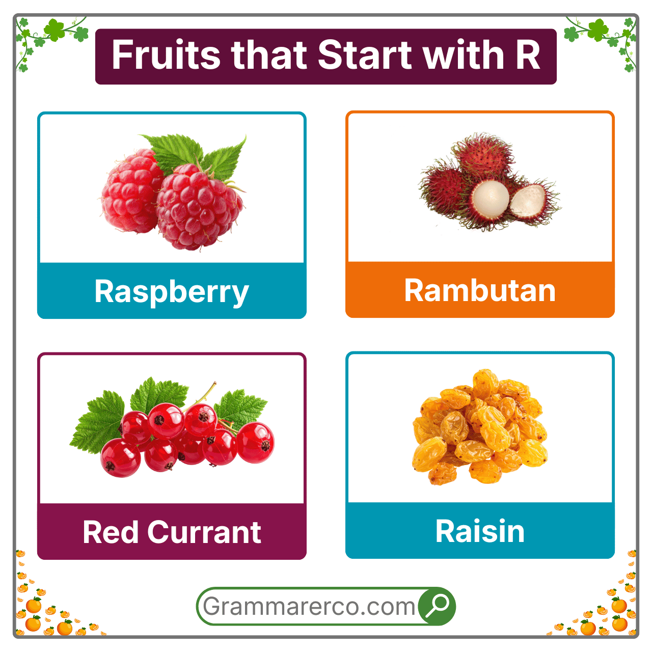 Fruit Begins with R with Pictures