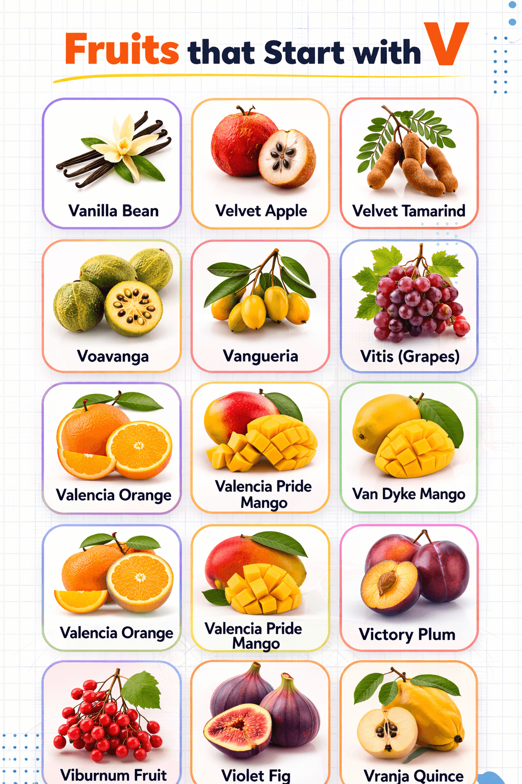 Fruits that Start with V with their Pictures and Properties