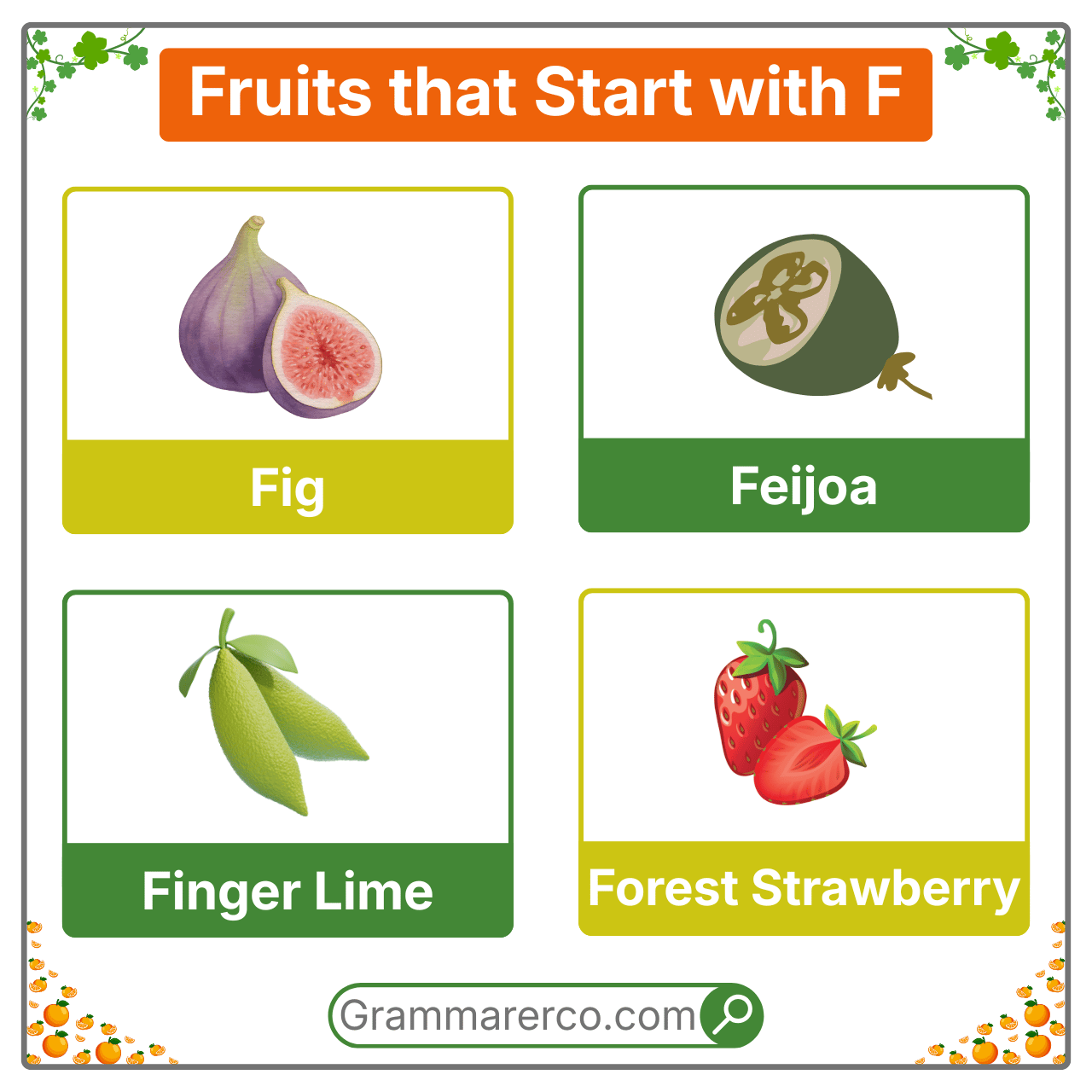 Fruits that Starts with F with their Pictures