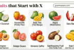 Fruits that Starts with X: 21+ Fruits Beginning X with Pictures