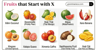 Fruits that Starts with X: 21+ Fruits Beginning X with Pictures