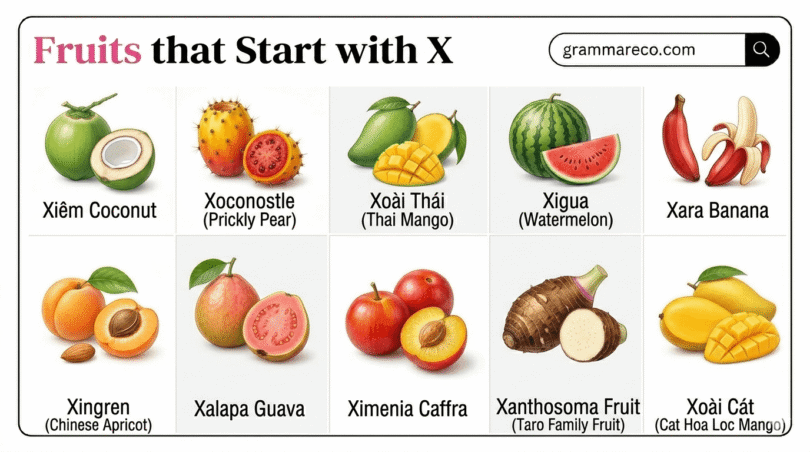 Fruits that Starts with X: 21+ Fruits Beginning X with Pictures