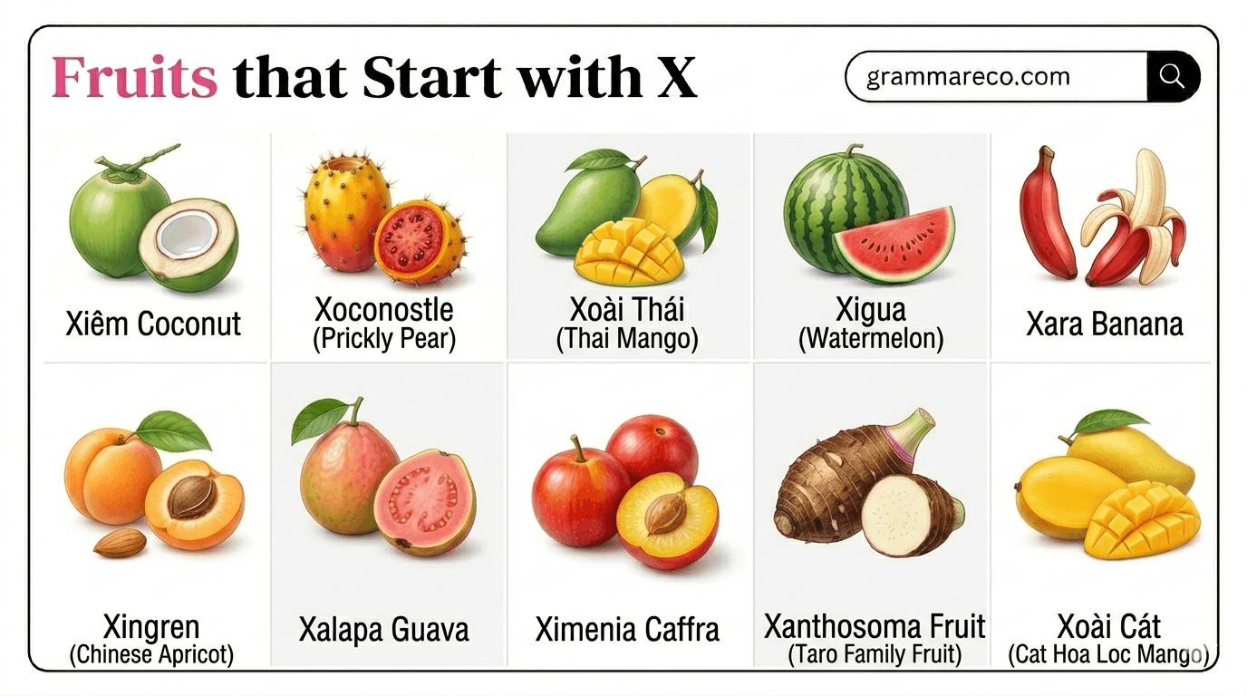Interesting Fruits That Start With Y Pictures