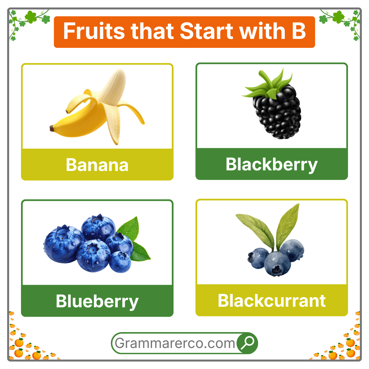 Fruits that are Beginning with a B - A to Z Fruits