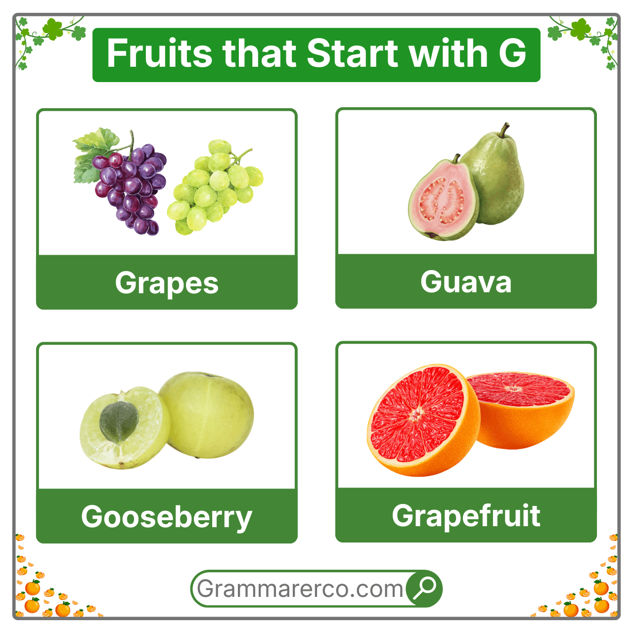 Fruits that are Starting with a G - A to Z Fruits