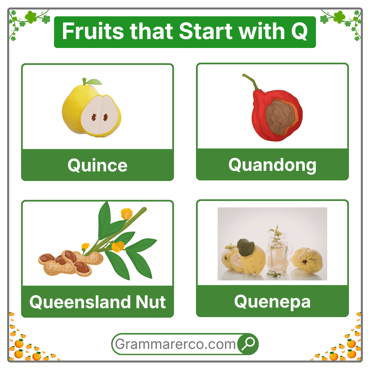 Fruits that are Starting with a Q