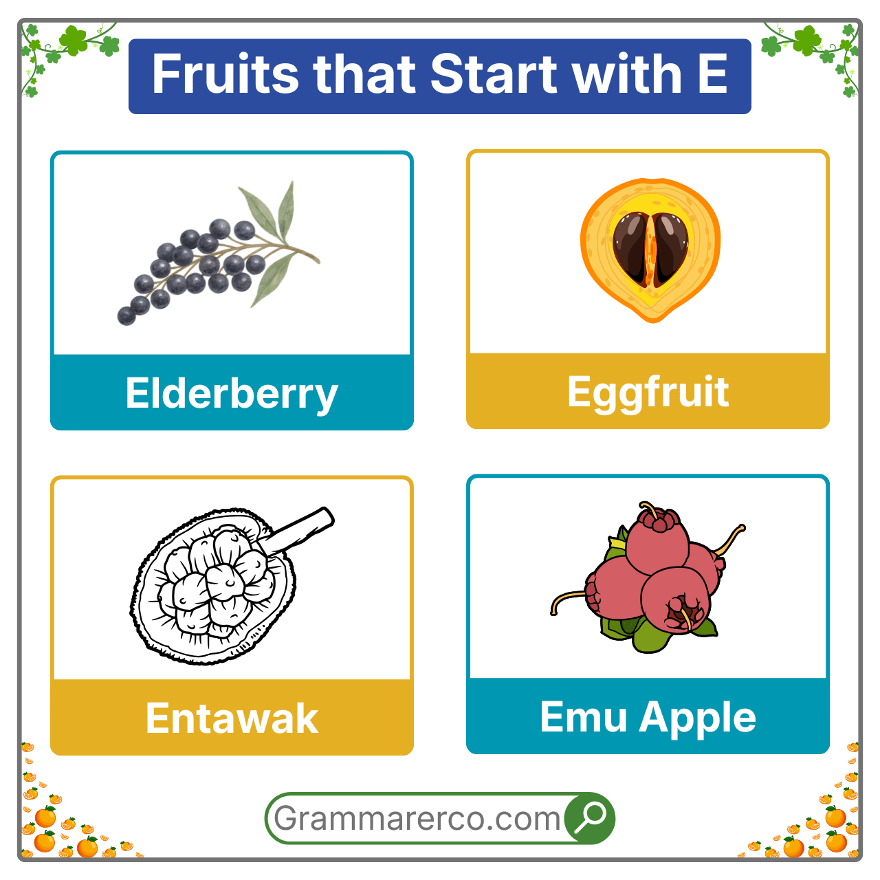 Fruits that are Starting with an E - A to Z Fruits