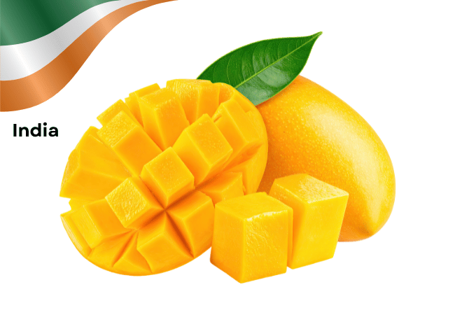 India National Fruit Mango with Picture and Facts