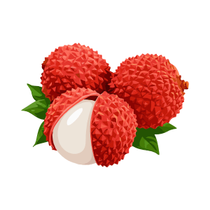 Is Lychee a Stone Fruit?