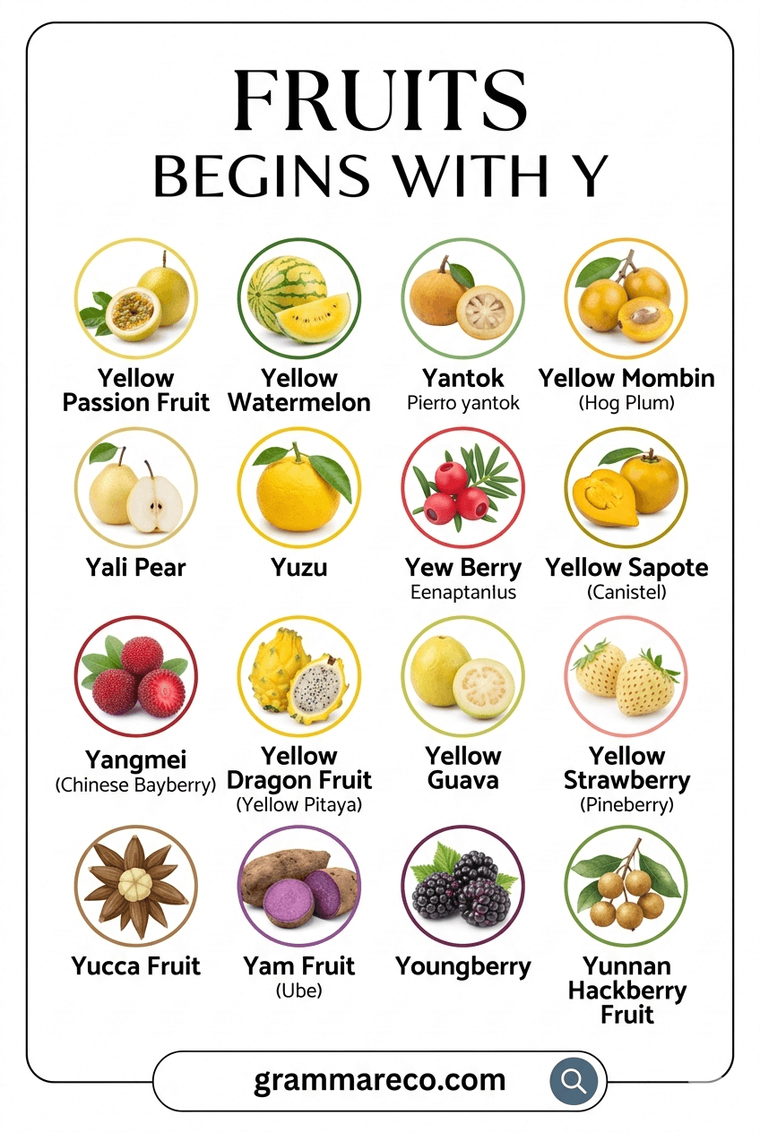 List of Fruits that Starts with Y with Pictures