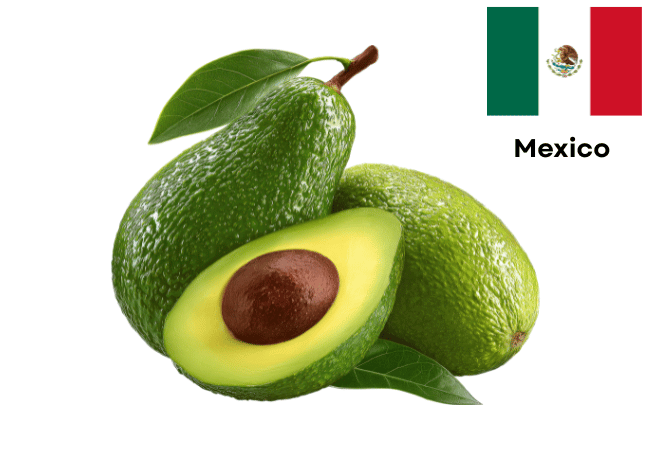 Mexico National Fruit Avocado