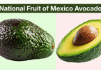 Mexico National Fruit Name Meaning, History and Pictures