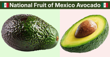 Mexico National Fruit Name Meaning, History and Pictures