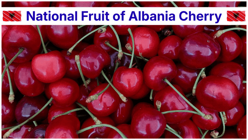 National Fruit of Albania Cherry: Meaning, History, and Importance