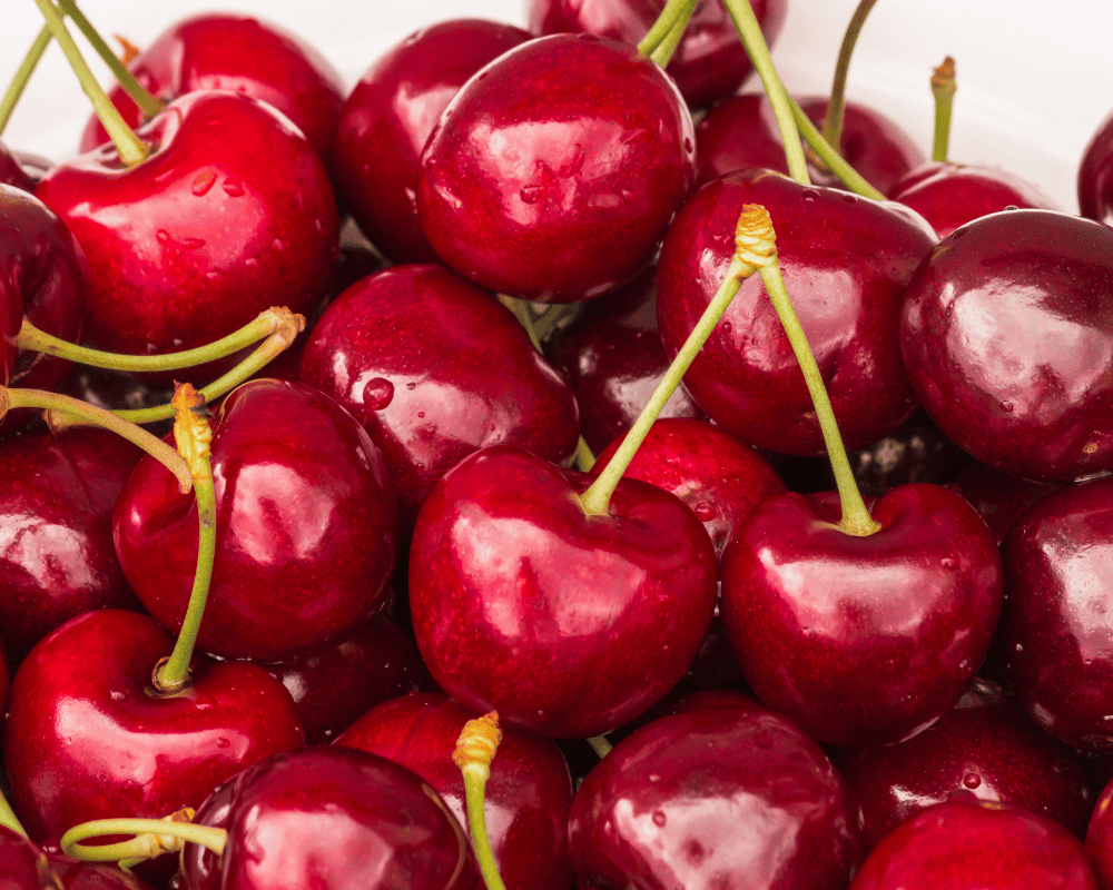 National Fruit of Albania - Stella Cherry
