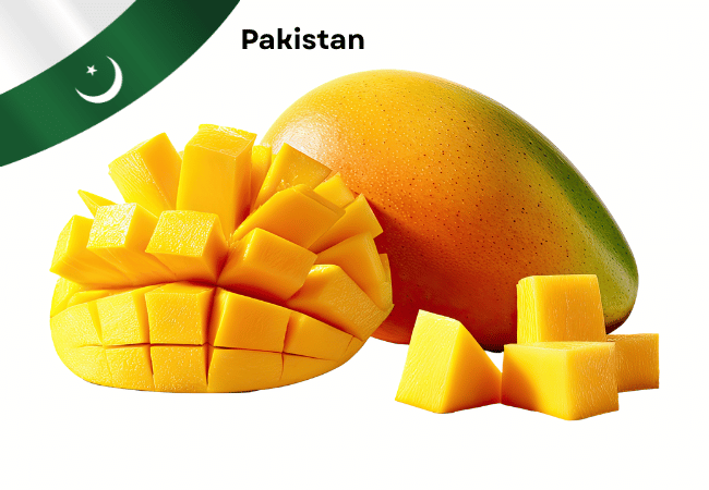 Pakistan National Fruits Mangoes