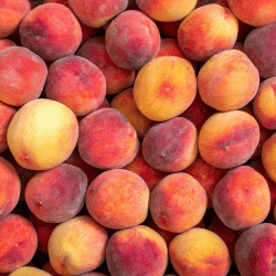Peach (Pink‑Fleshed Varieties)