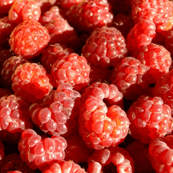 Raspberry