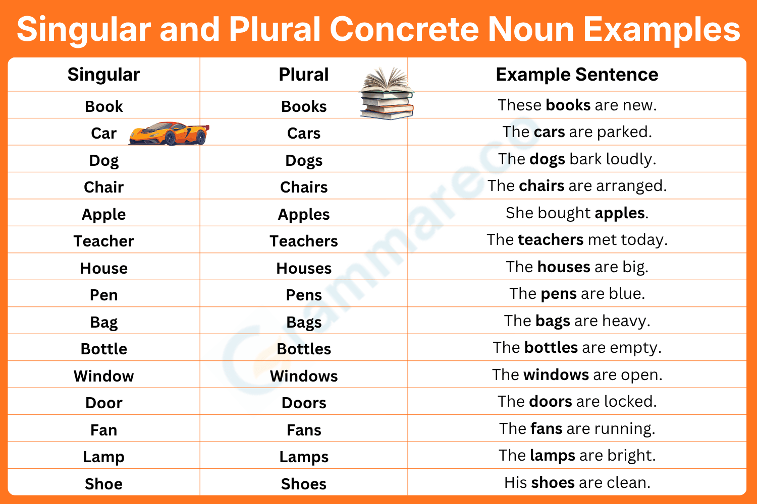 Singular and Plural Concrete Noun Examples