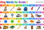 Spelling Words for Grade 1: 150 Vocabulary Words with Examples