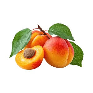 Stone Fruits - Apricot
