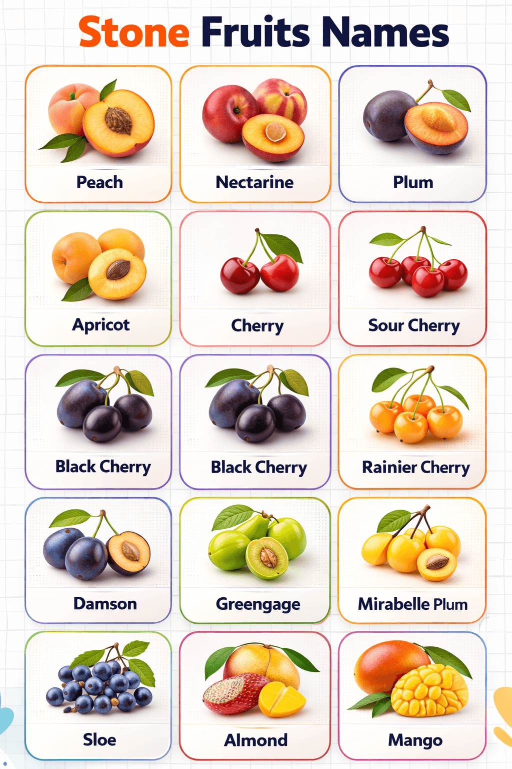 50+ List of Stone Fruits with Pictures and Properties