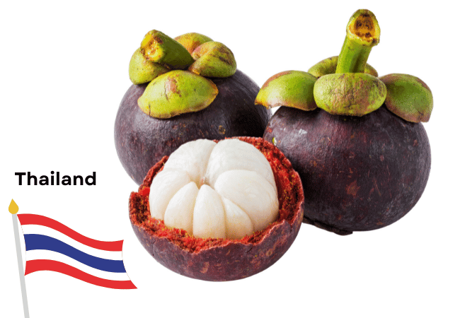 Thailand - Mangosteen