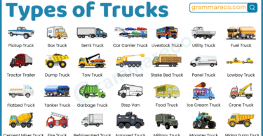 50+ Types of Trucks with Pictures and Uses: Full Guide with List