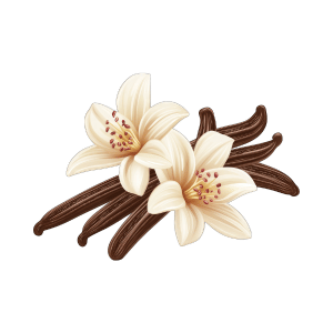 Vanilla Bean: 21 Fruits that Start with V