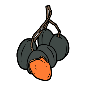 Velvet Tamarind-Fruit that Starts with V