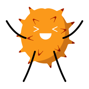 Voavanga: Fruit that Starts with V Letter