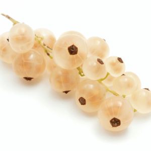 Fruits that Start with W: White Currant