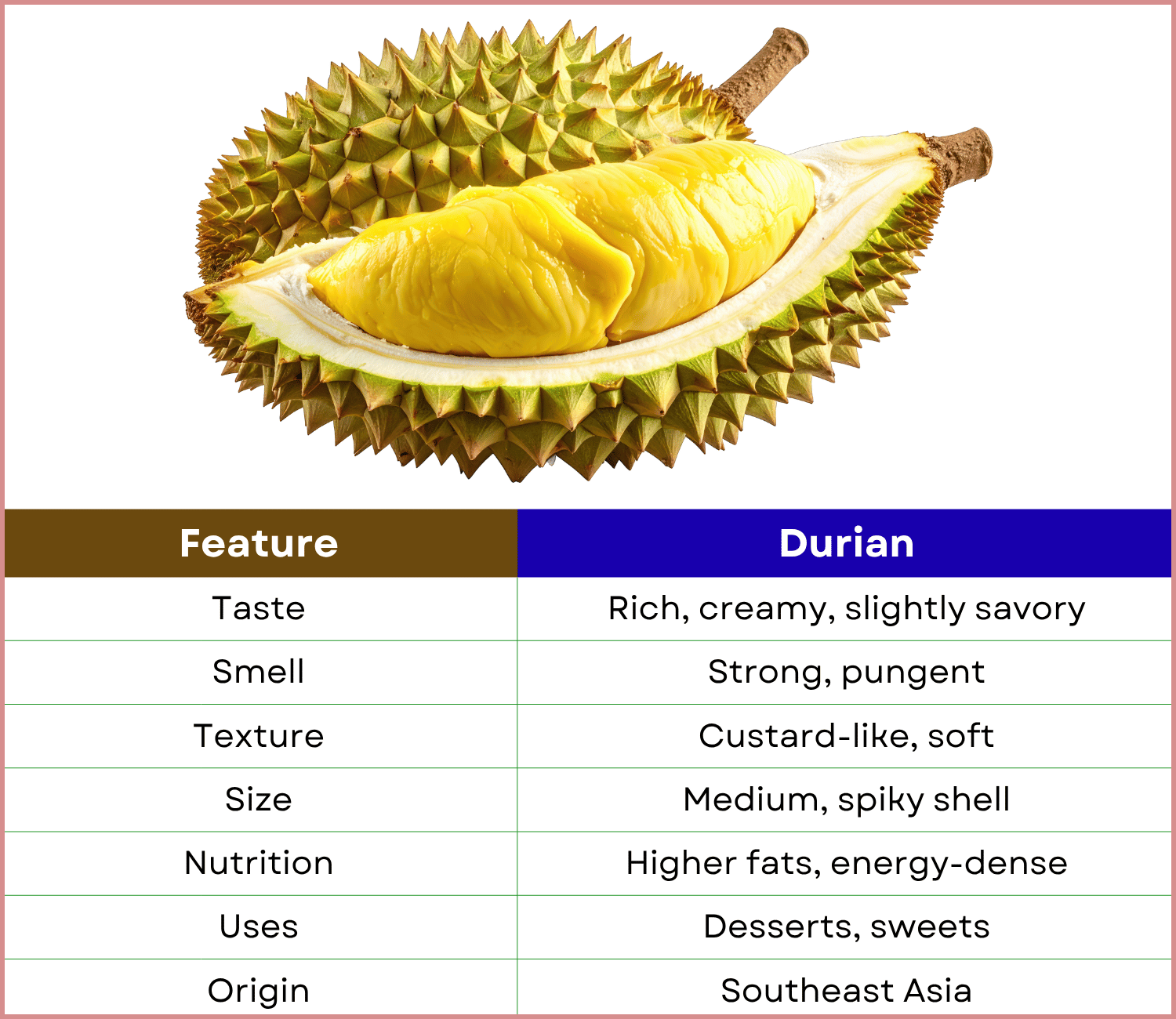 What Is Durian Fruit? Photos and Properties