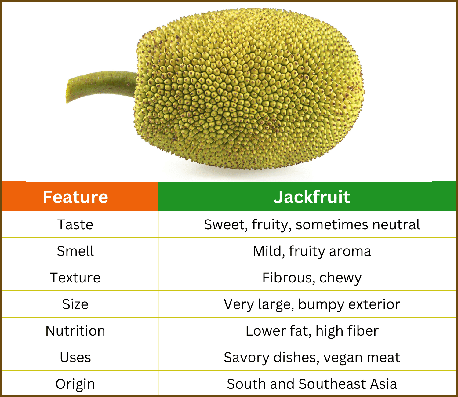 What Is Jackfruit? Photos and Properties