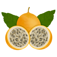 Y Fruit - Yellow Passion Fruit