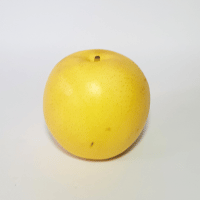 Yellow Apple