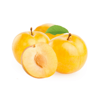 Yellow Plum - Fruit with Y