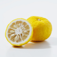 Yuzu - Y Fruits