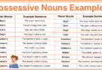 101+ Possessive Nouns Sentences Examples in English with Answer