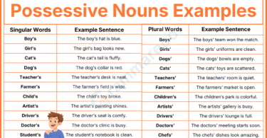 101+ Possessive Nouns Sentences Examples in English with Answer