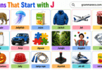 240+ Nouns that Start with J with Examples and Pictures