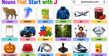 240+ Nouns that Start with J with Examples and Pictures