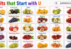 30 Fruit that Starts with U: Full List of U Fruits with Pictures