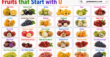 30 Fruit that Starts with U: Full List of U Fruits with Pictures