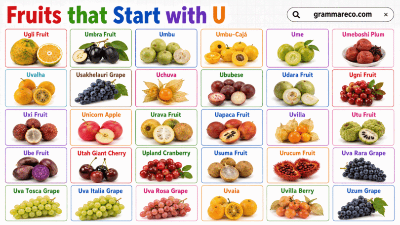 30 Fruit that Starts with U: Full List of U Fruits with Pictures