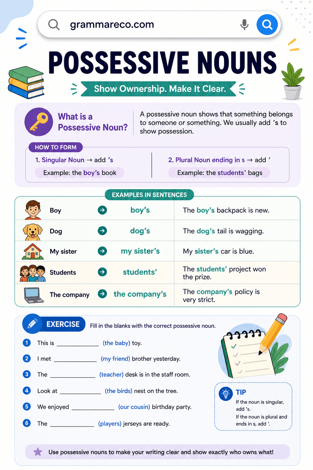 30 Possessive Noun and Example in Sentences with Answer