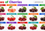 48+ Types of Cherries: Different Cherry Fruits with Pictures